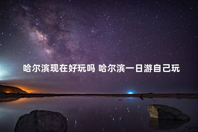 哈尔滨现在好玩吗 哈尔滨一日游自己玩